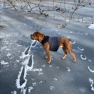 Meet your Posher, Mekhai